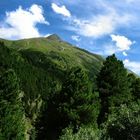 Bäume, Wiese und Himmel im Ötztal