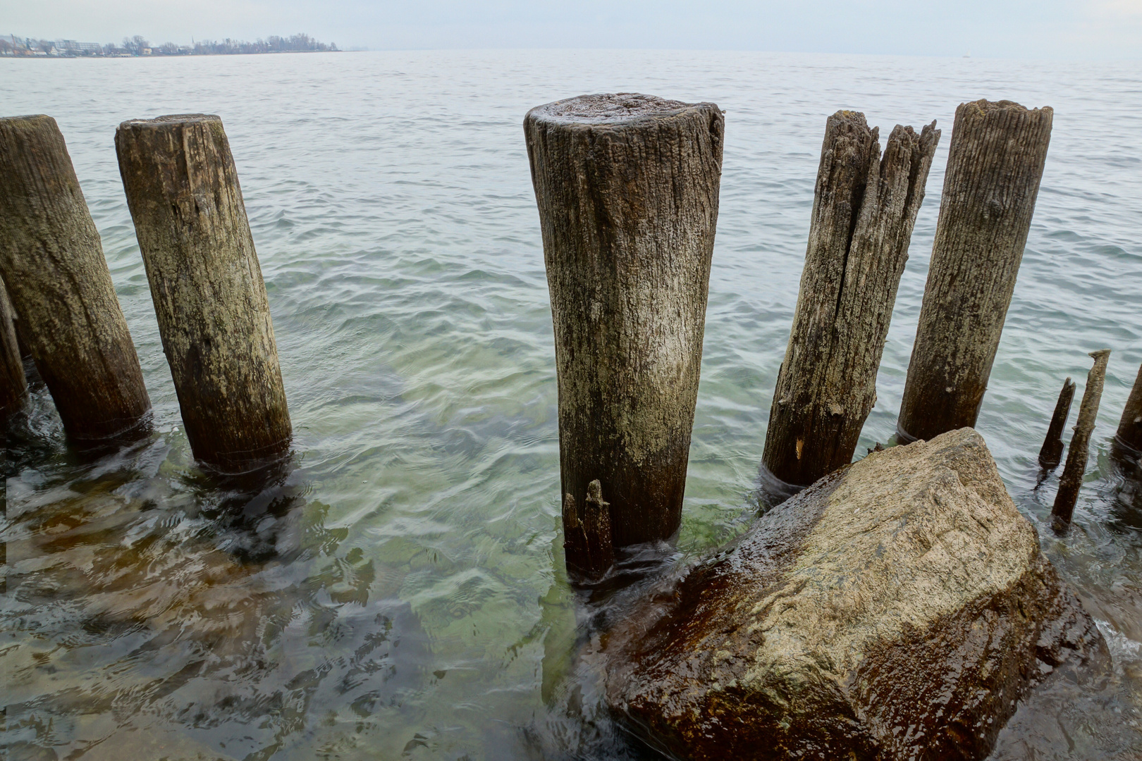 "BÄUMIG IM WASSER"