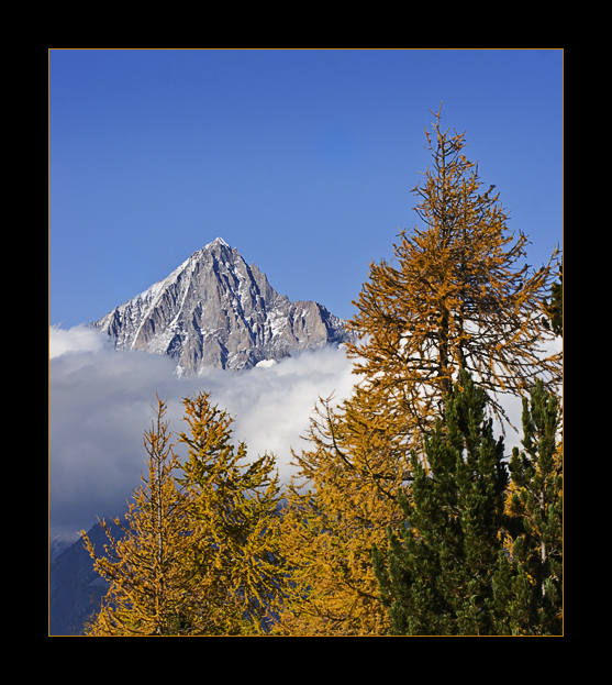 bäumiges Bietschhorn