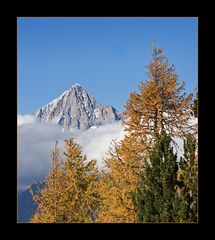 bäumiges Bietschhorn