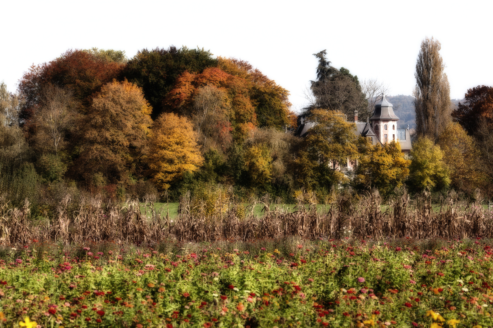 Bäumlihof im Herbst