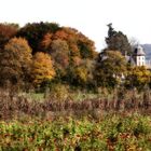 Bäumlihof im Herbst