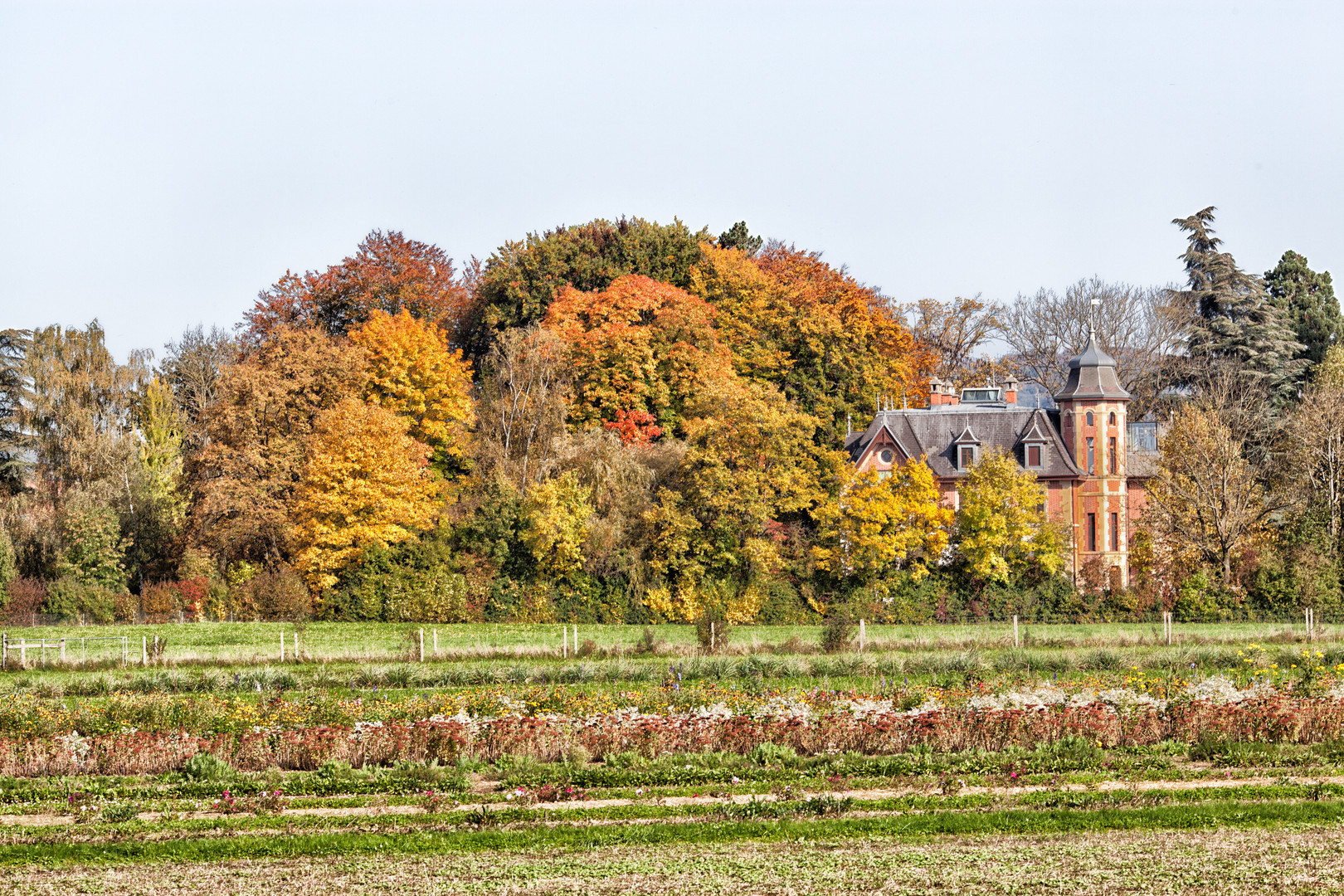 Bäumlihof in der Herbstsonne