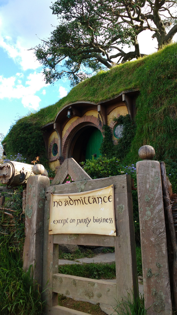 Bag End's Open Door