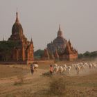 Bagan 2