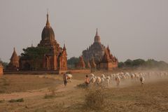 Bagan 2