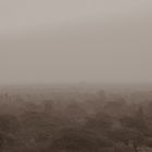 Bagan