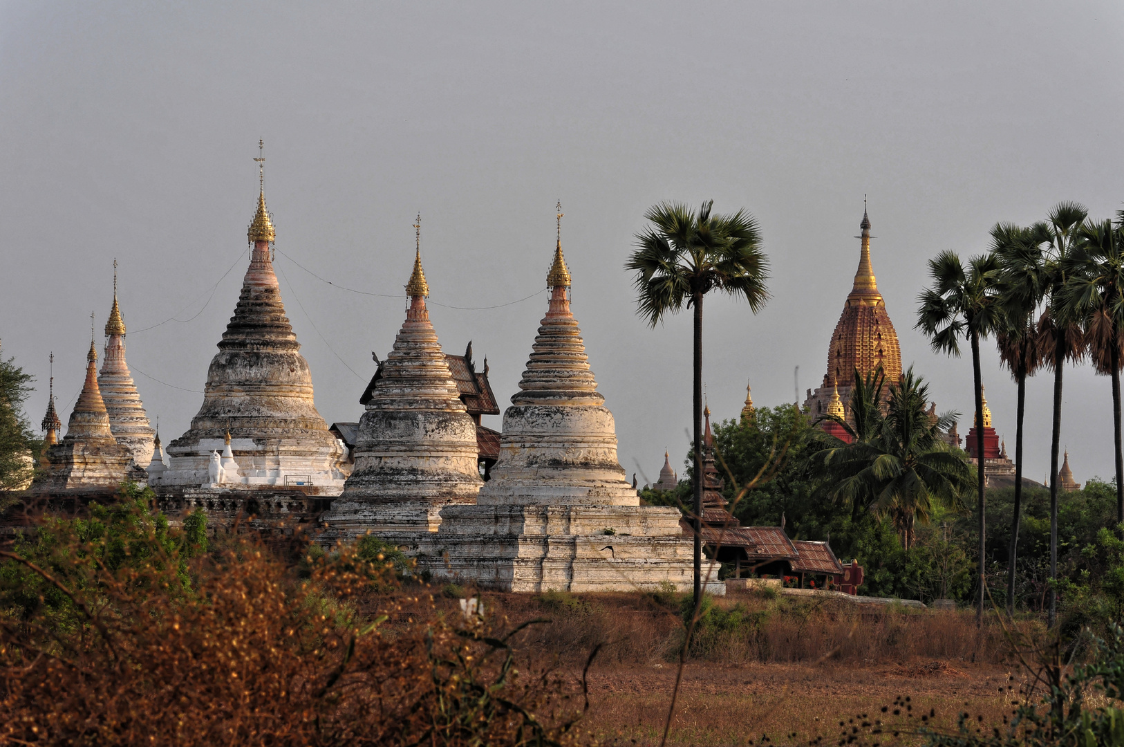 Bagan