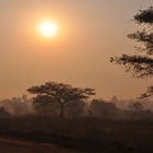 Bagan am Morgen