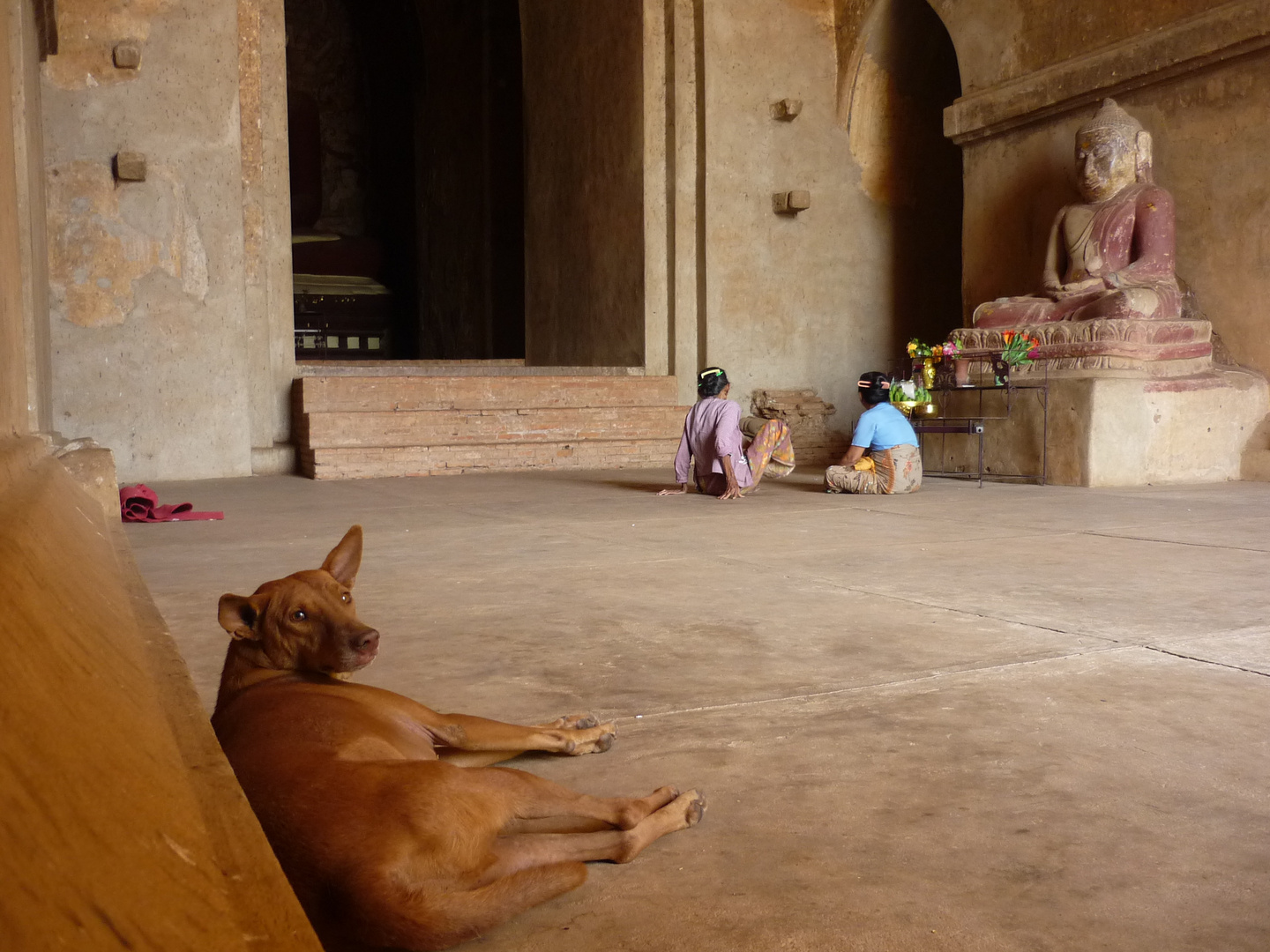 Bagan - Chill out dog at pagoda