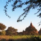Bagan ebenerdig