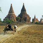 Bagan