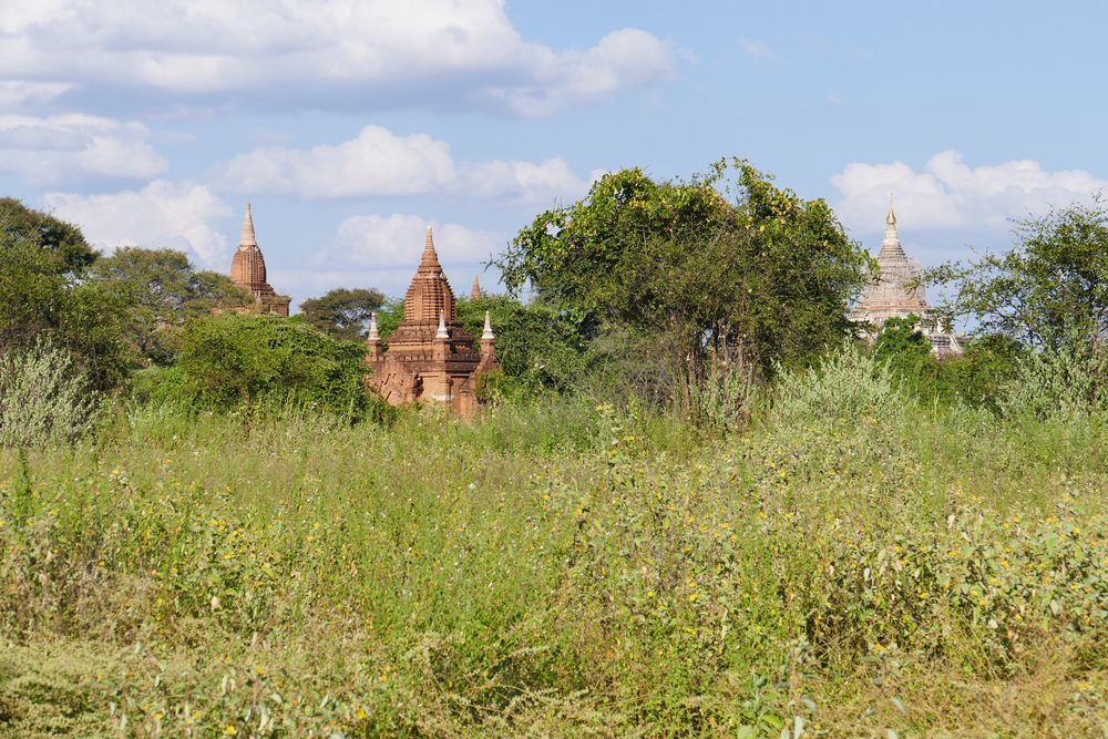 ...Bagan Feelings...