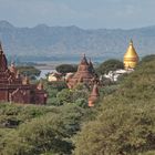 Bagan Felder 1