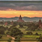 Bagan Felder 6