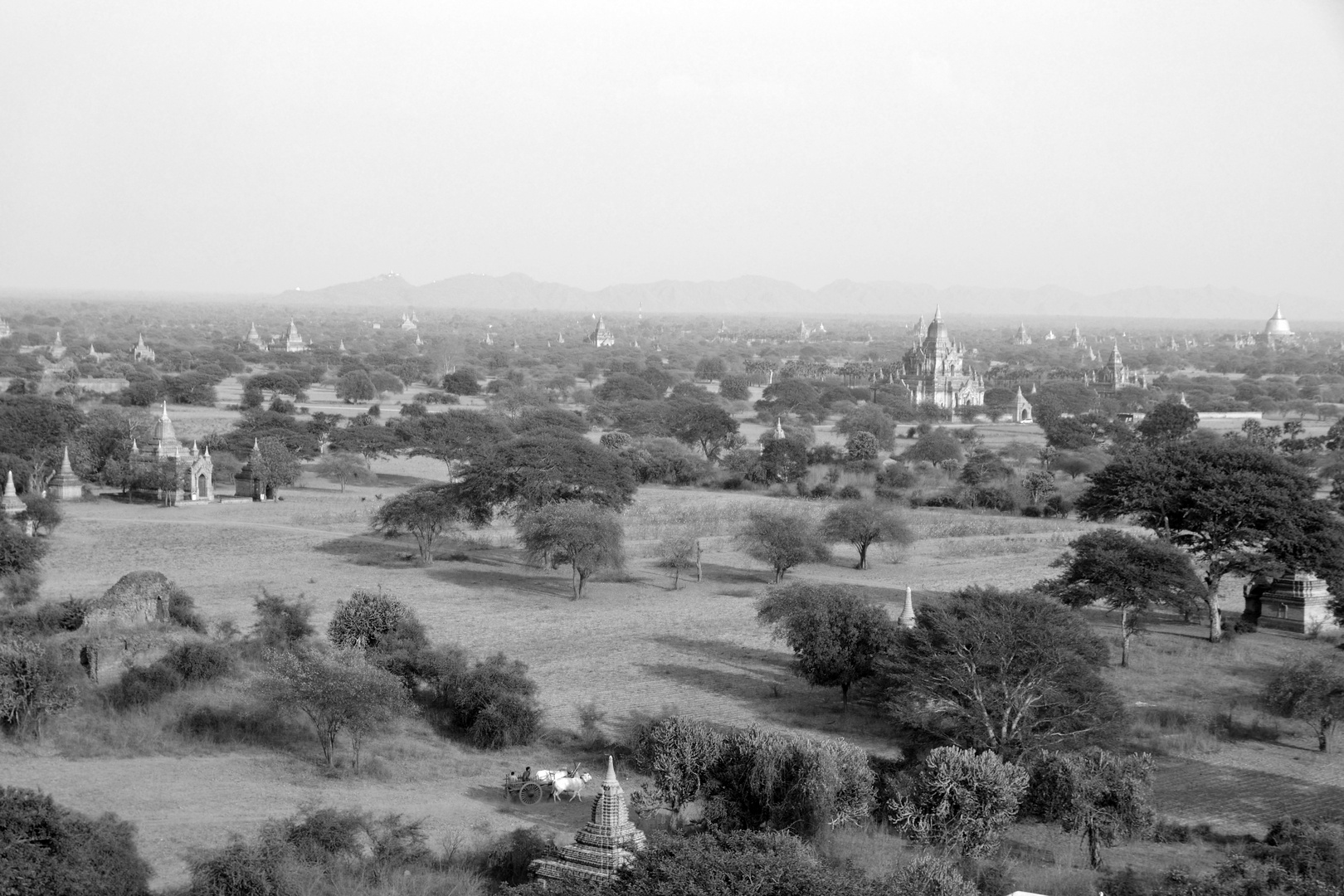 Bagan III