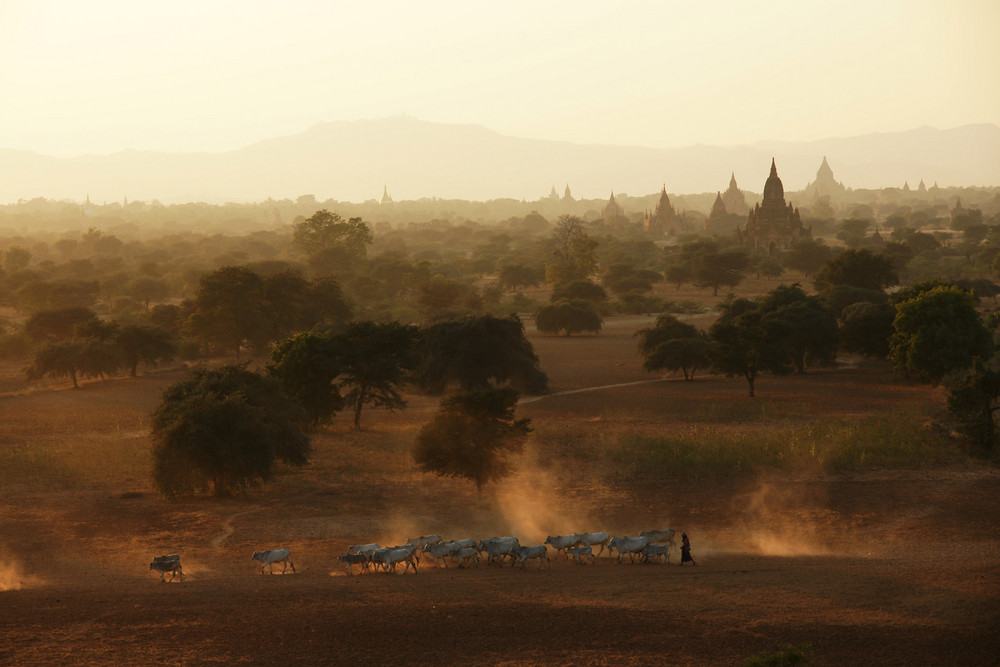 Bagan im Abendlicht