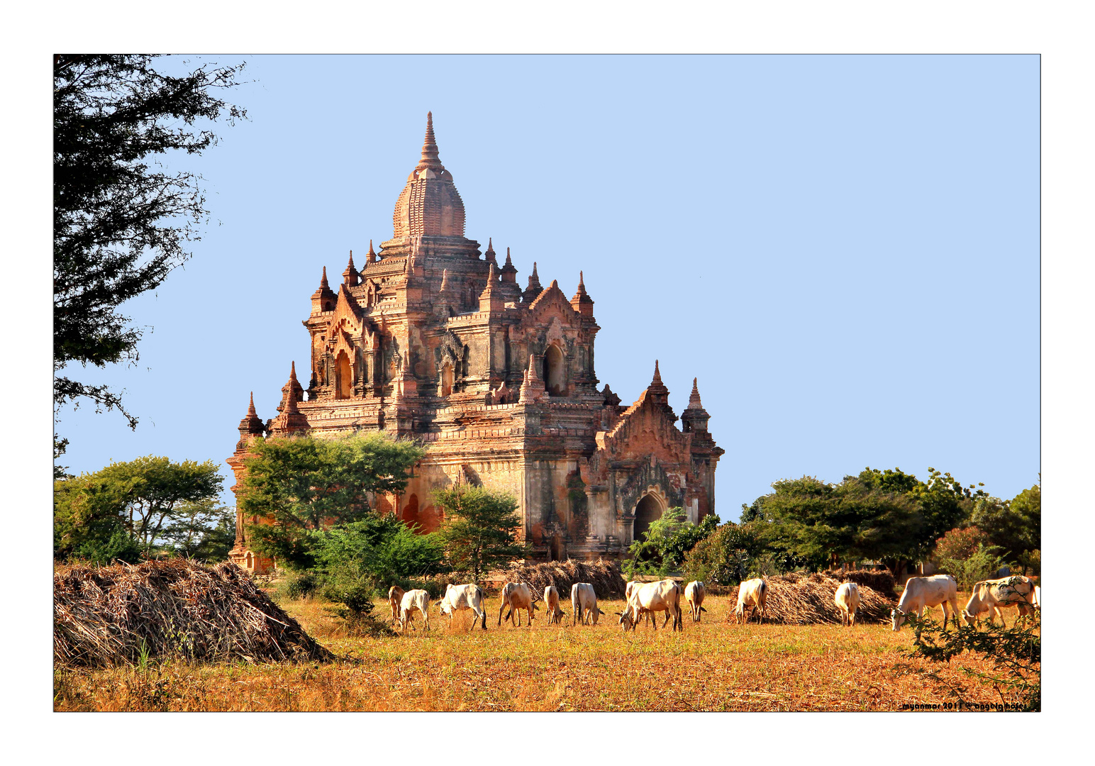 Bagan IV