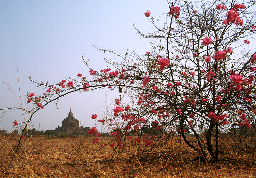 Bagan, Myanmar