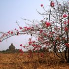 Bagan, Myanmar