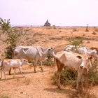 bagan vor dem Monsun