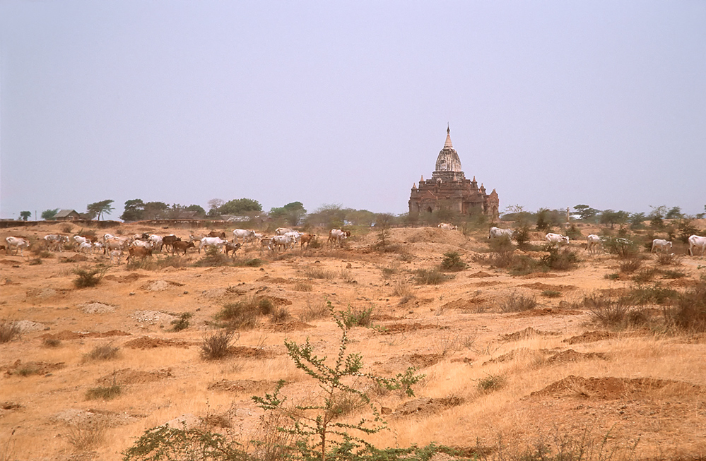 Bagan vor dem Monsun