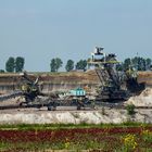 Bagger 1528 mit Bandwagen