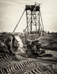 Bagger 255