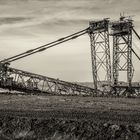 Bagger 255