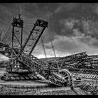 Bagger 288