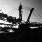 Bagger 288 im Gegenlicht