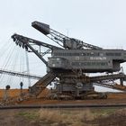 Bagger 299 in aktion