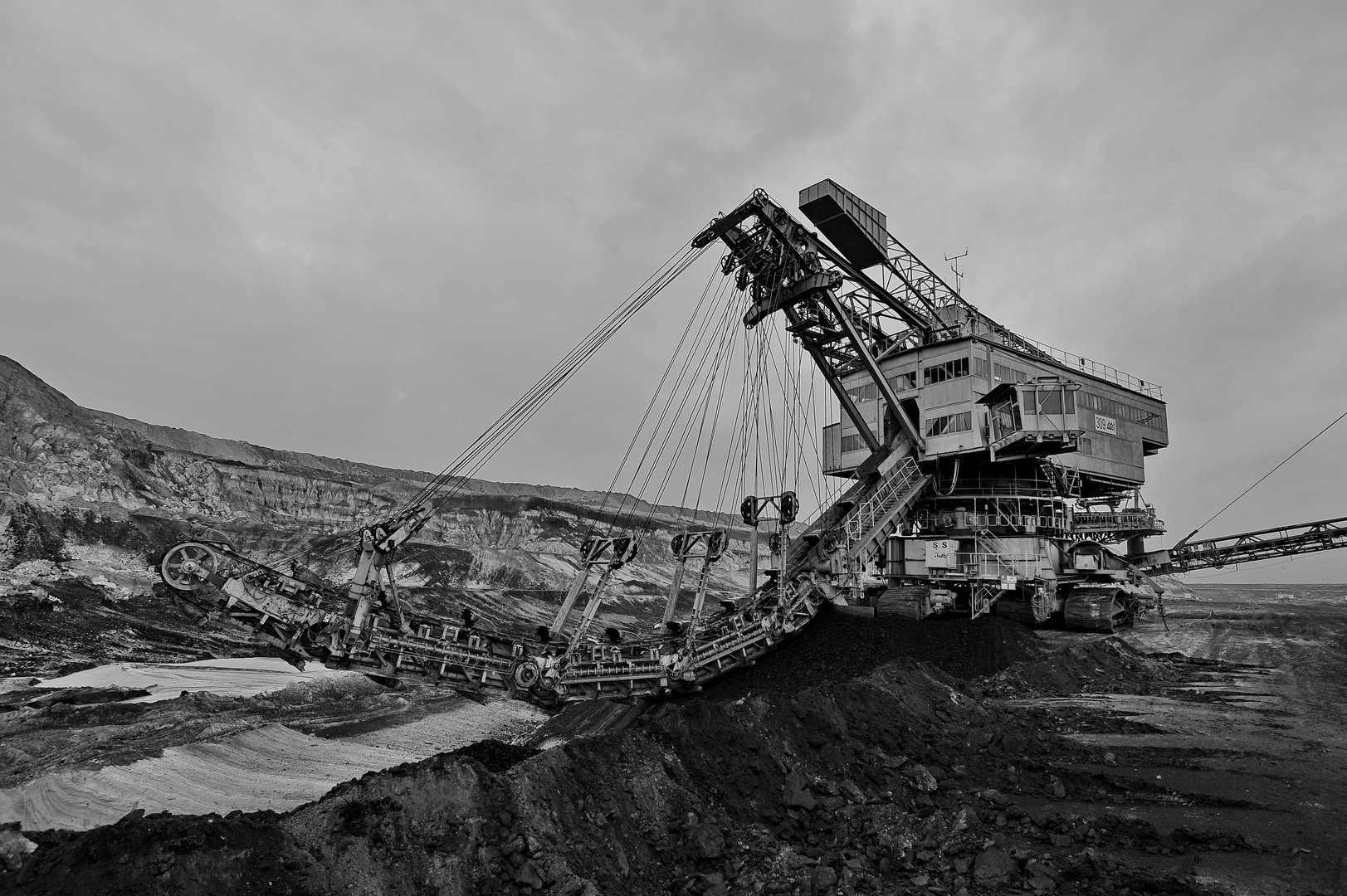 Bagger 309