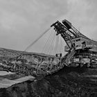 Bagger 309