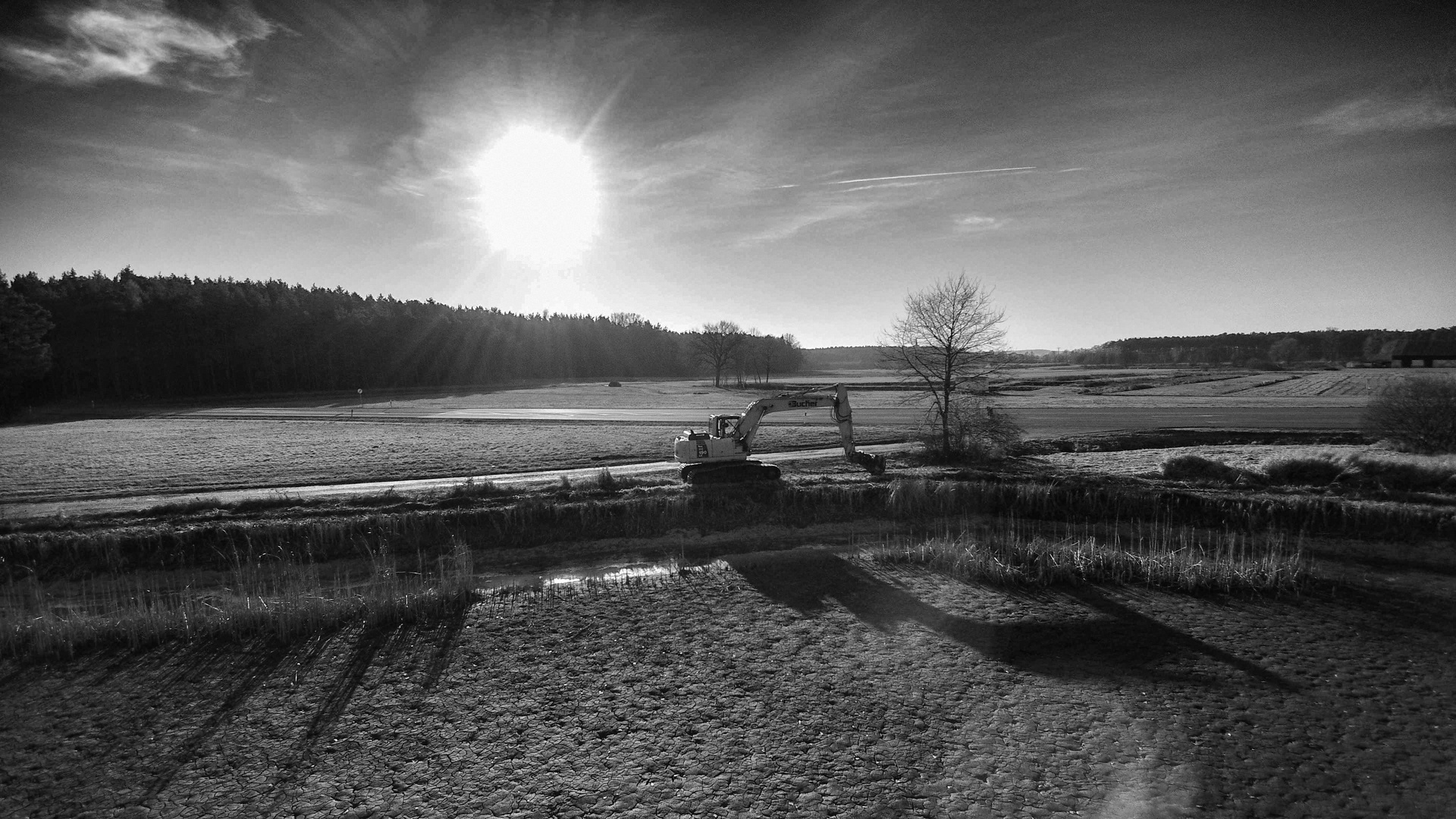 Bagger am abgelassenen Karpfenteich