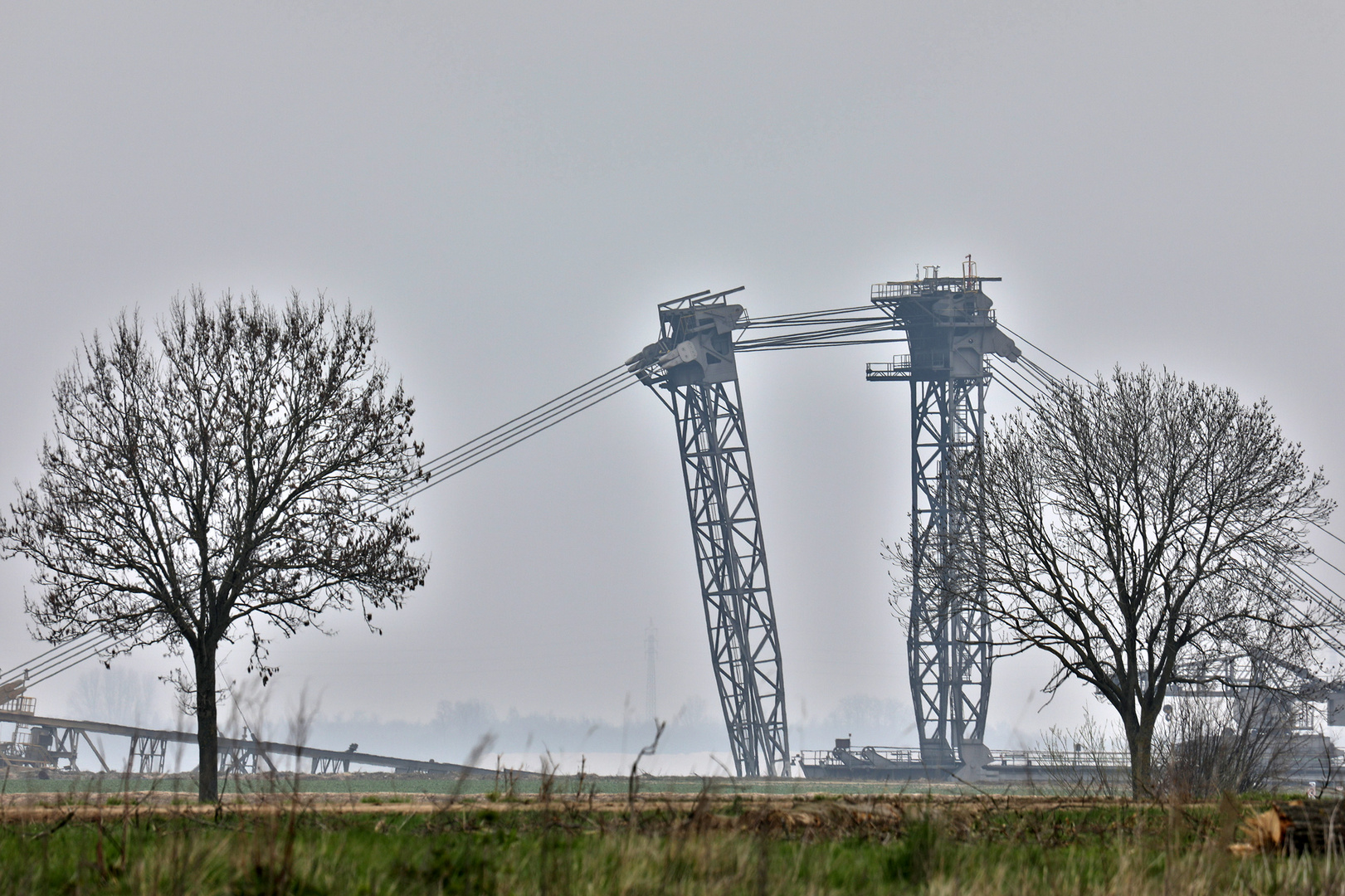 Bagger frisst Landschaft