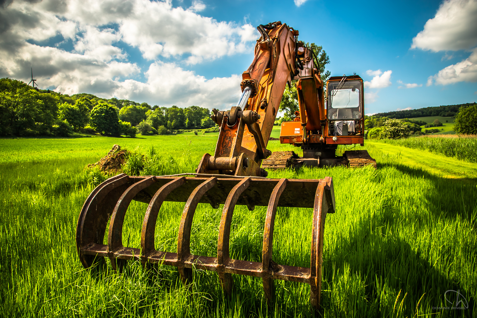 Bagger im grünen