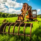 Bagger im grünen