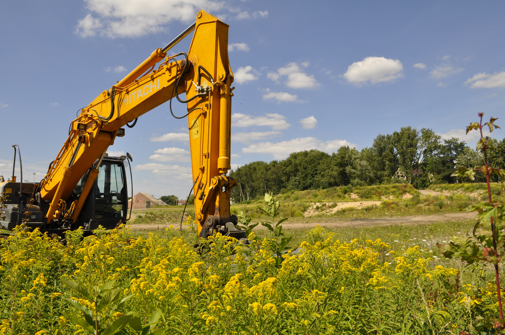 Bagger im Grünen