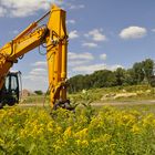 Bagger im Grünen