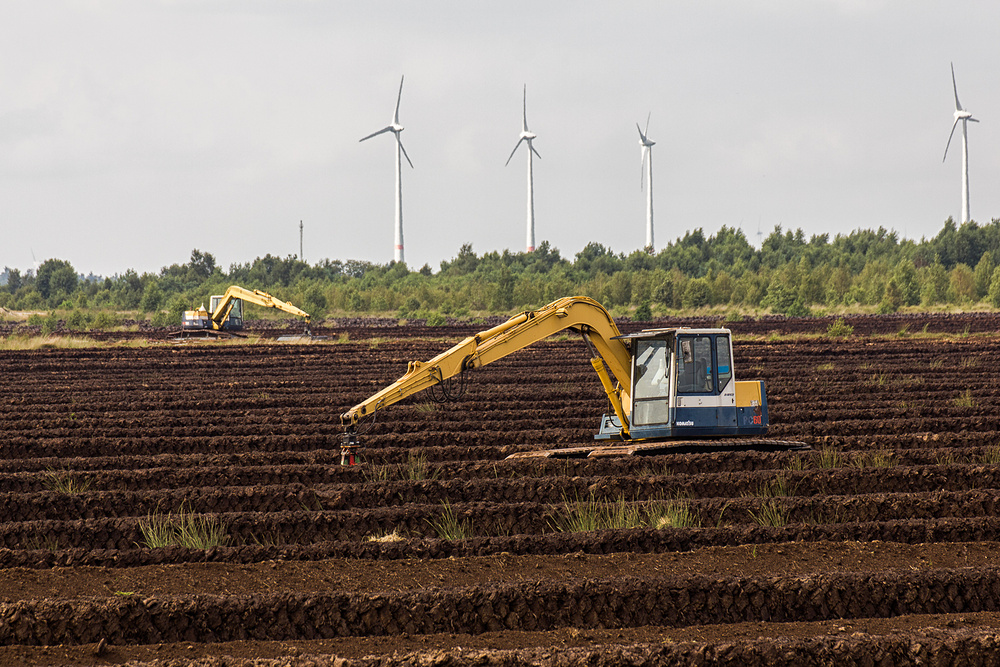 Bagger im Moor