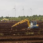 Bagger im Moor