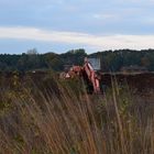 Bagger im Moor 