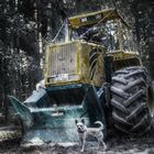 Bagger mit Hund im Wald