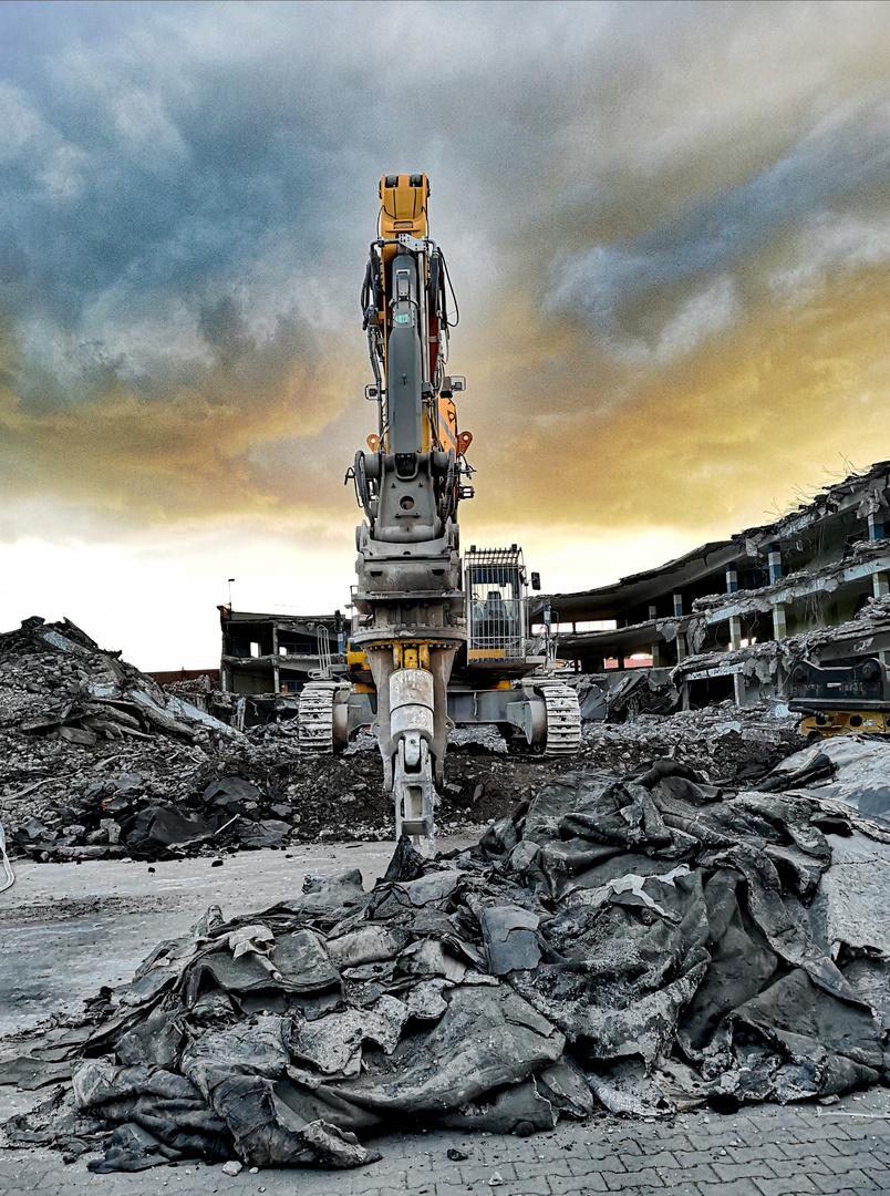 Bagger Papenburg