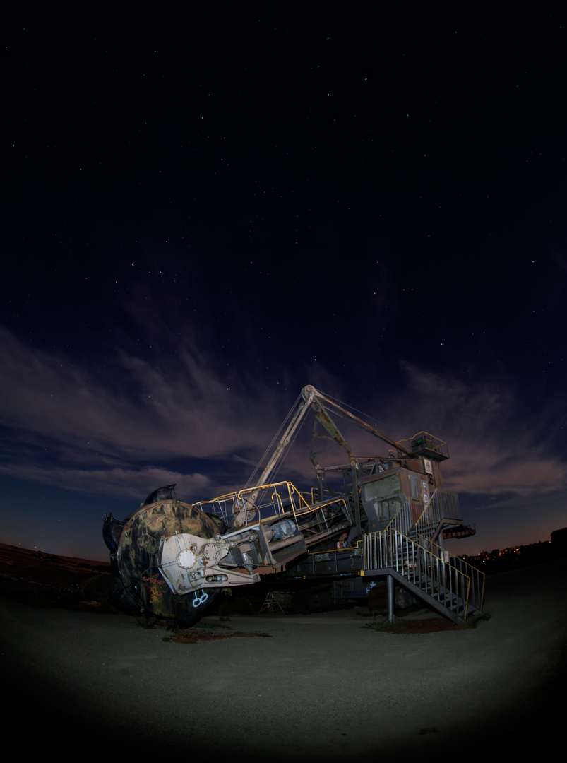 Bagger - Portrait mit Lampie ;-)