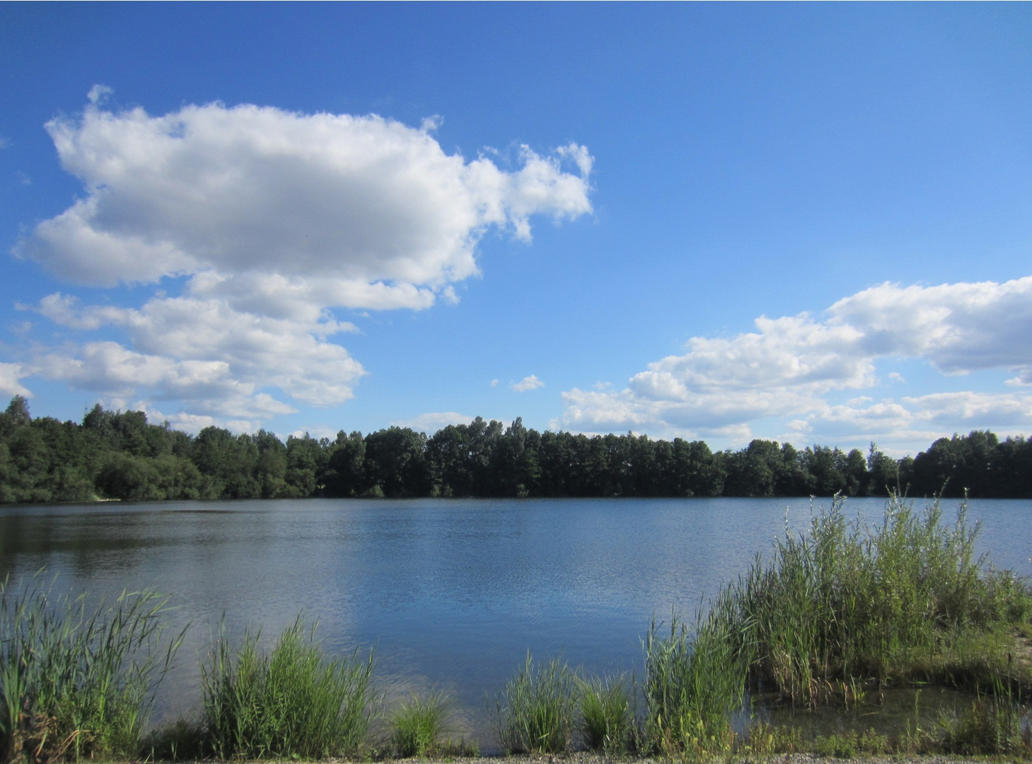 Bagger und Badesee Ertingen Foto & Bild landschaft, bach, fluss & see