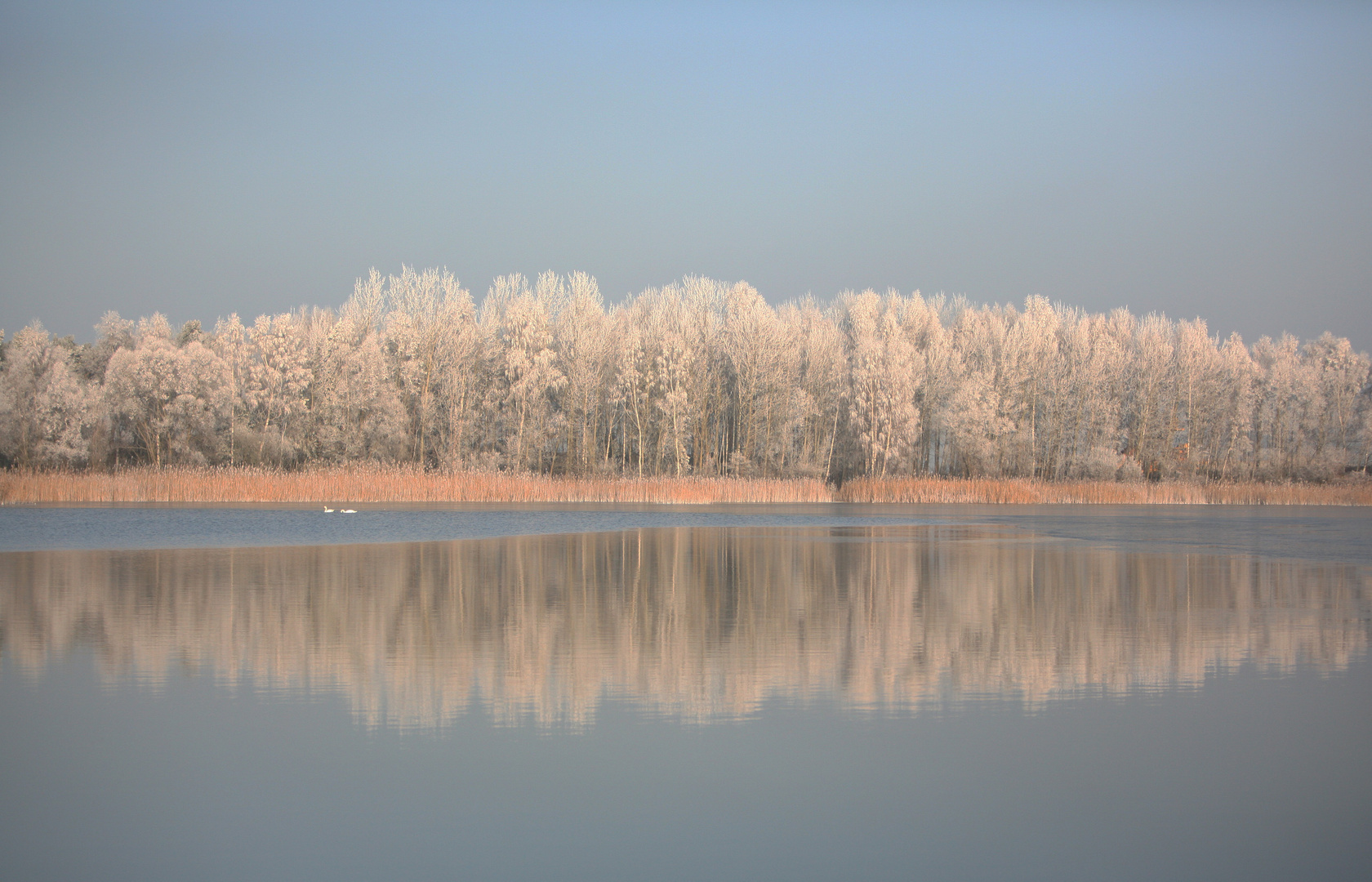 Baggerpfuhl im Winter