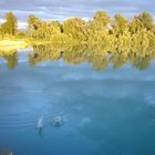 Baggersee