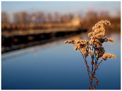 Baggersee